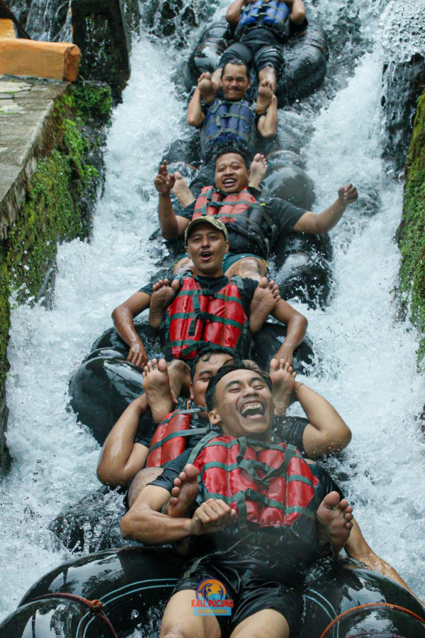 kali pucung